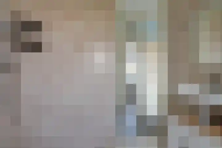 Dokter de Witstraat 6 Noord-Scharwoude thumbnail 27