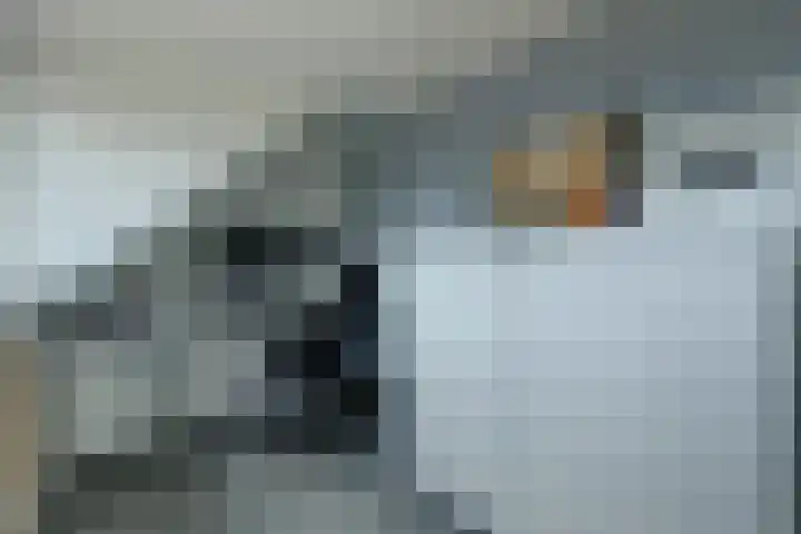 Dokter de Witstraat 6 Noord-Scharwoude thumbnail 34