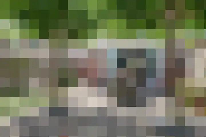 Dokter de Witstraat 6 Noord-Scharwoude thumbnail 36