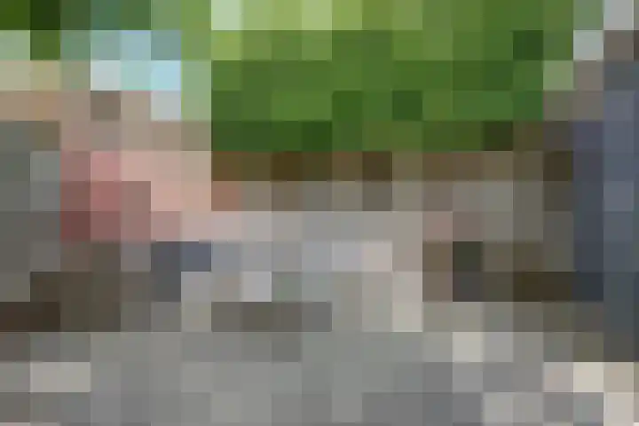 Dokter de Witstraat 6 Noord-Scharwoude thumbnail 38