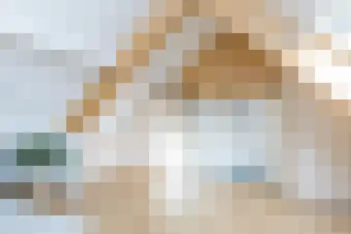 Dokter Delissenstraat 3 Gulpen thumbnail 22