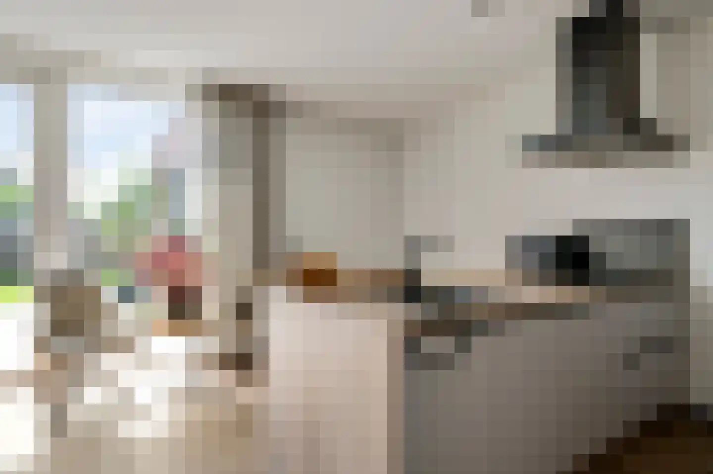 Dokter Deumensstraat 12 Sint Odiliënberg thumbnail 11