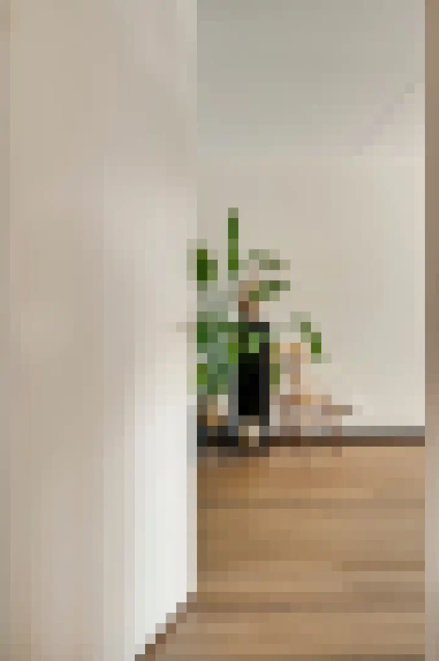 Dokter Deumensstraat 12 Sint Odiliënberg thumbnail 5