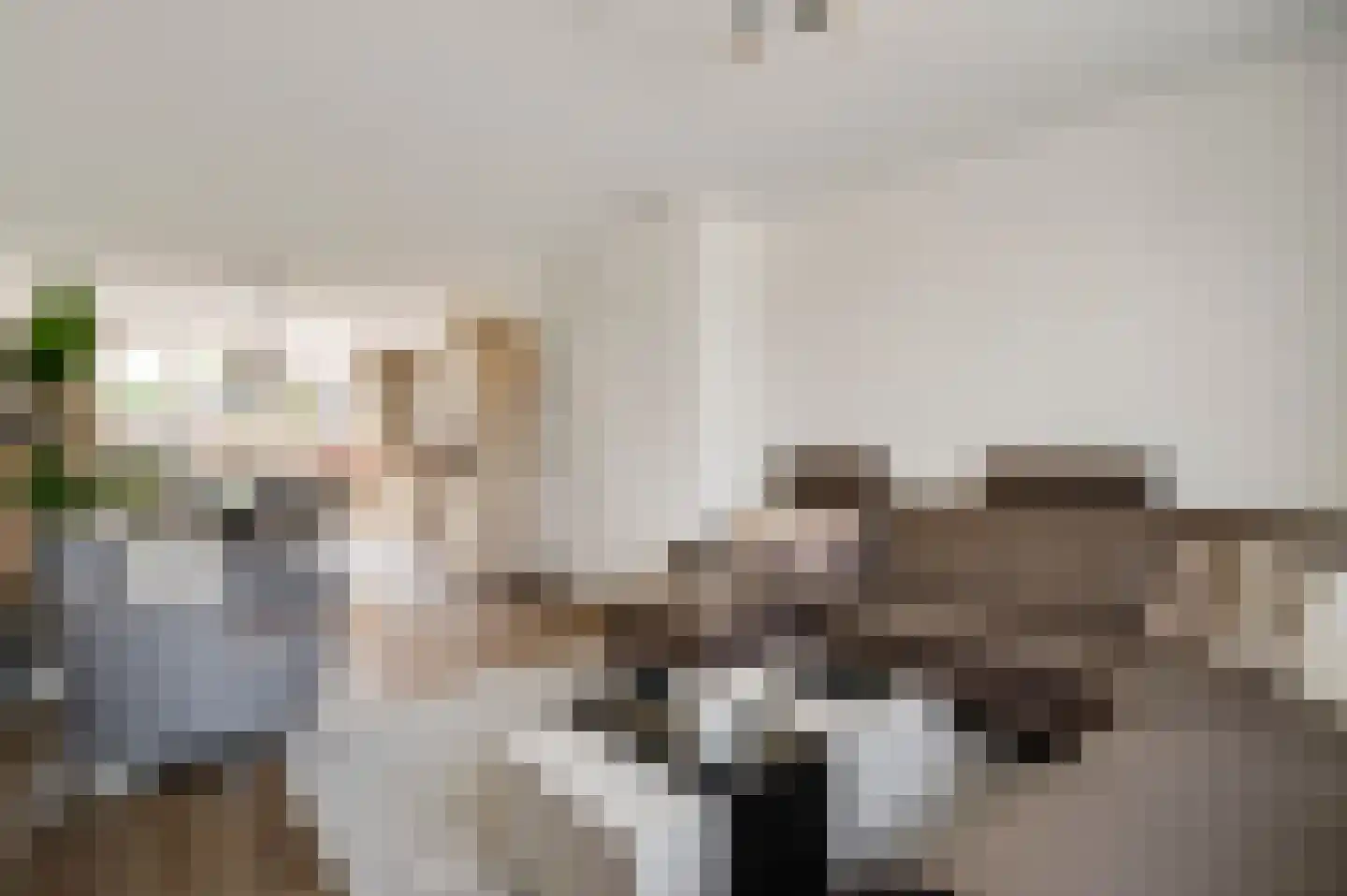 Dokter Deumensstraat 12 Sint Odiliënberg thumbnail 6