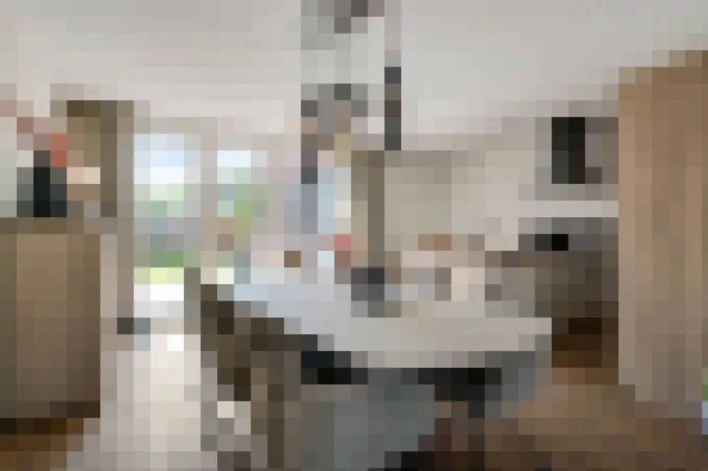 Dokter Deumensstraat 12 Sint Odiliënberg thumbnail 8