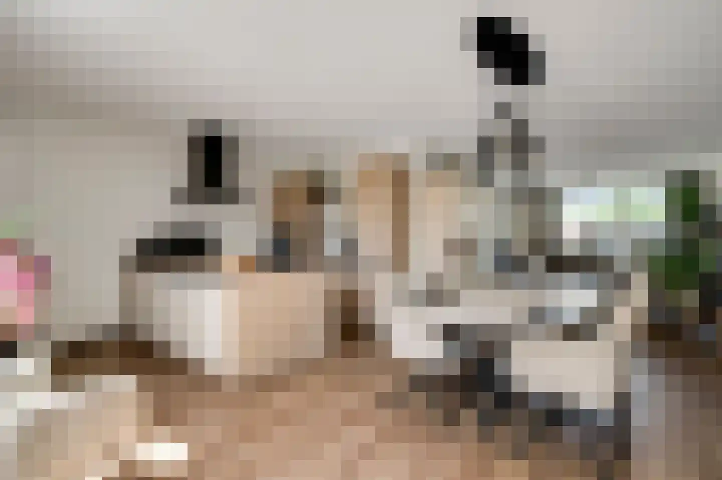 Dokter Deumensstraat 12 Sint Odiliënberg thumbnail 9