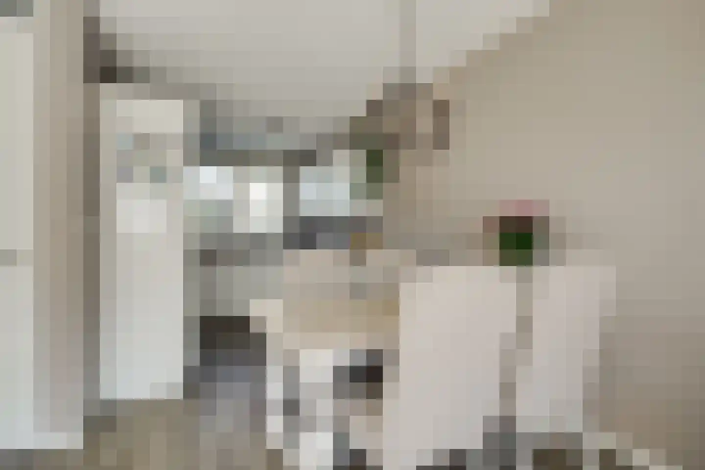 Dokter Diamantlaan 100 Hoek van Holland thumbnail 11