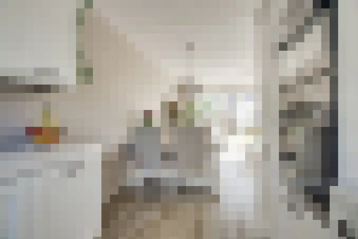 Dokter Diamantlaan 100 Hoek van Holland thumbnail 14