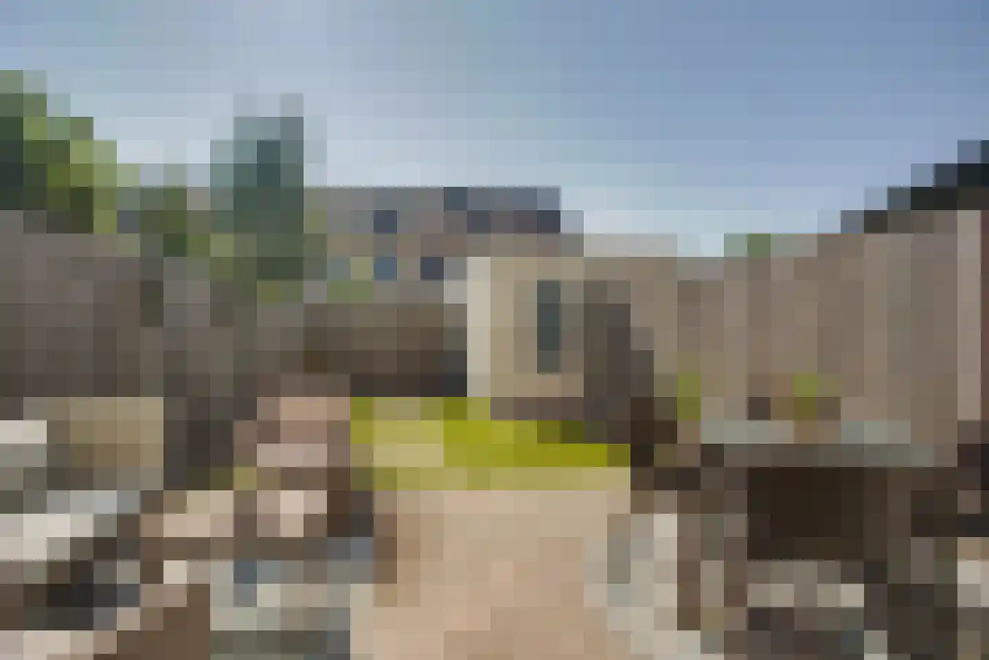 Dokter Diamantlaan 100 Hoek van Holland thumbnail 19