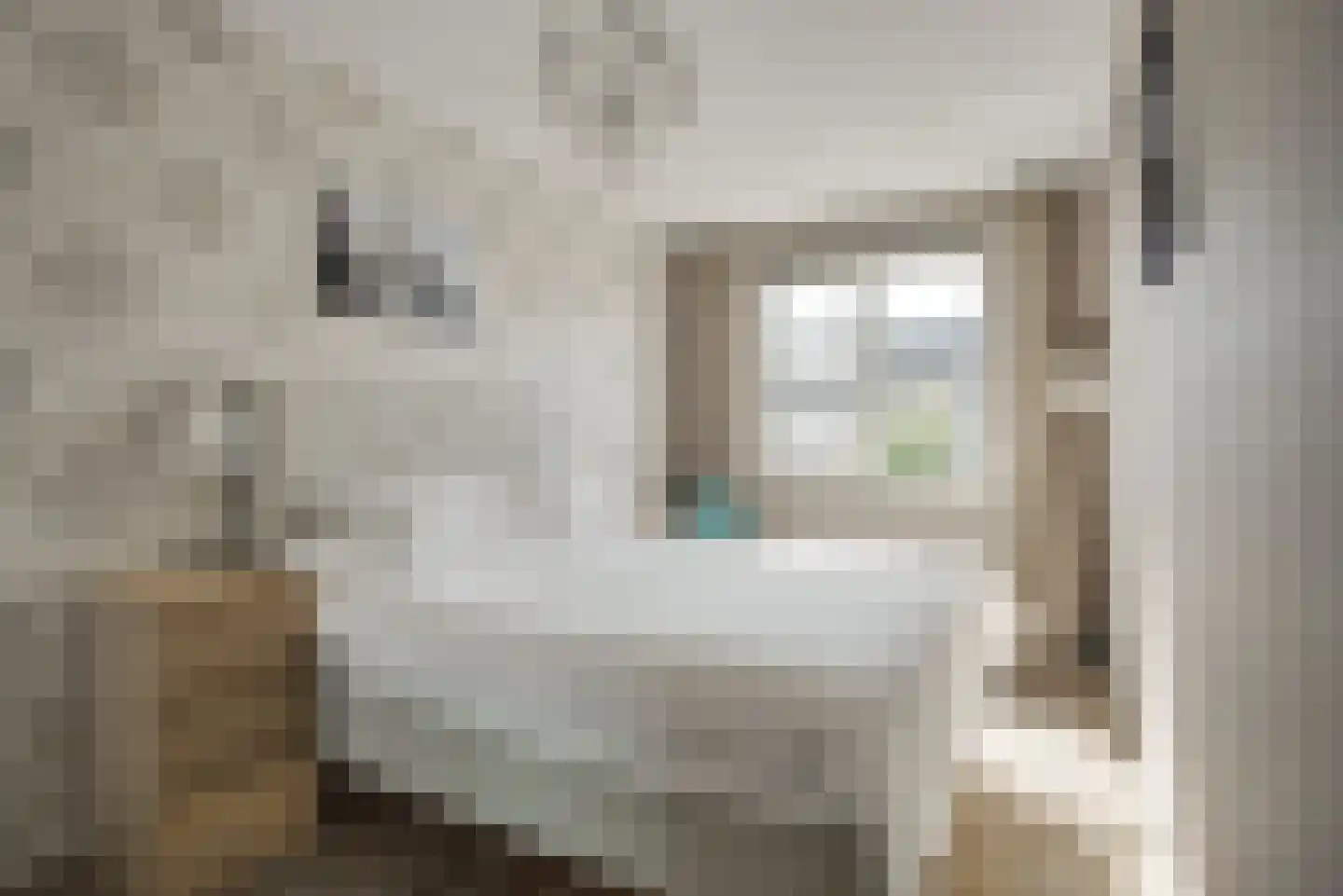 Dokter Diamantlaan 100 Hoek van Holland thumbnail 32
