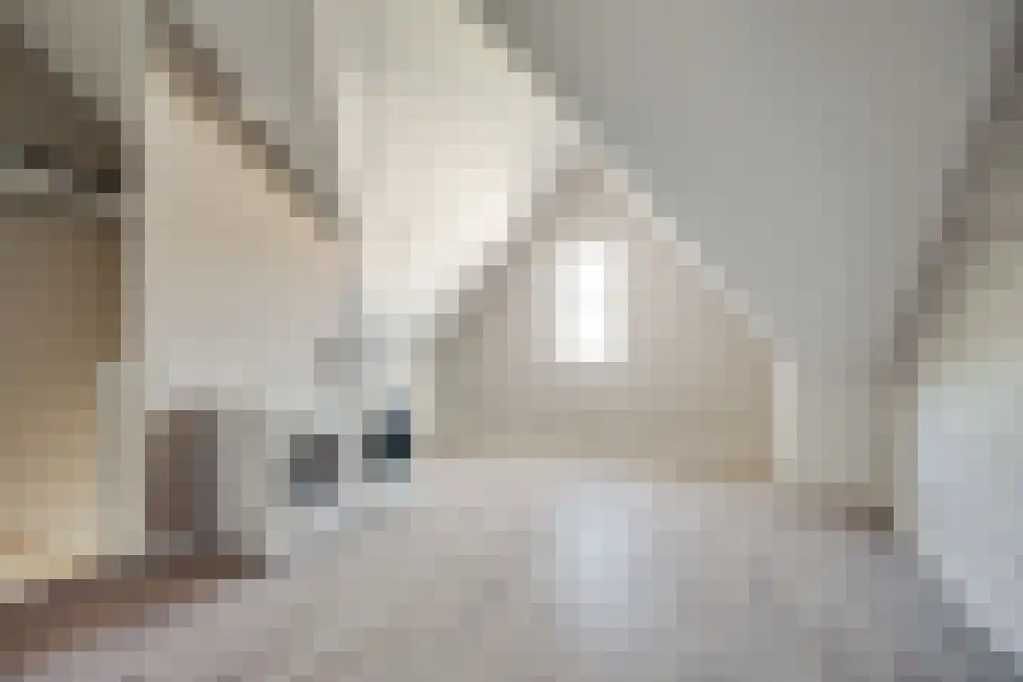 Dokter Diamantlaan 100 Hoek van Holland thumbnail 35