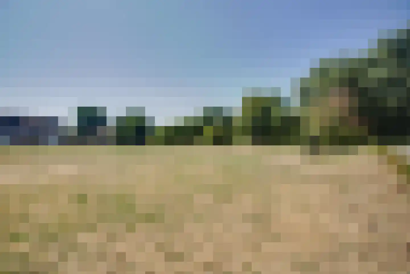 Dokter Diamantlaan 100 Hoek van Holland thumbnail 40
