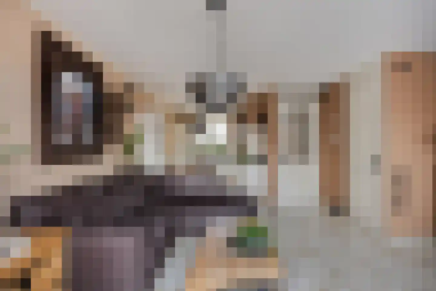 Dokter Diamantlaan 23 Hoek van Holland thumbnail 16