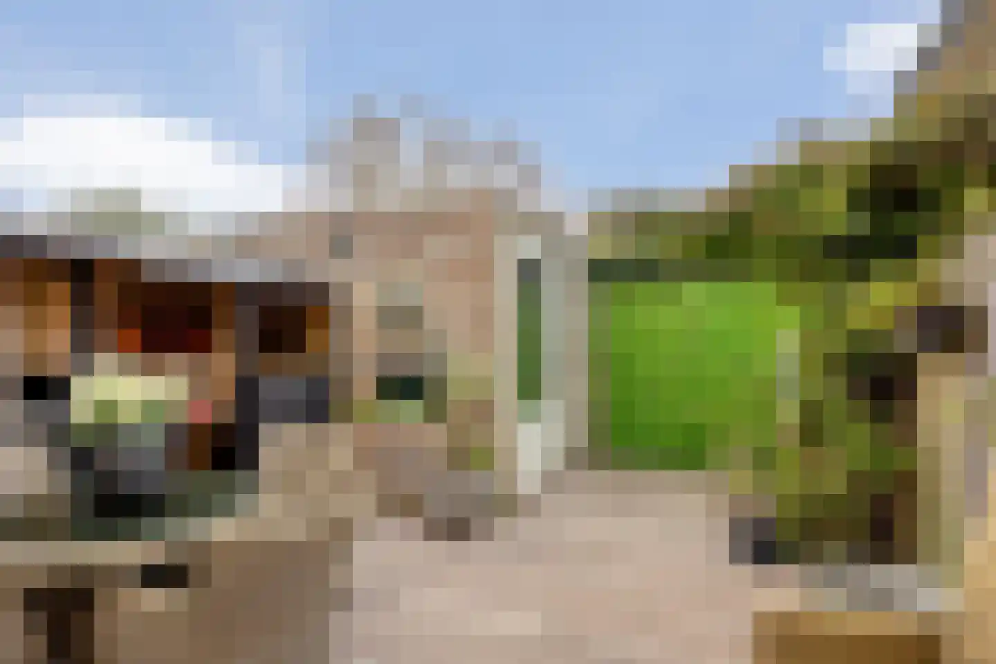 Dokter Diamantlaan 23 Hoek van Holland thumbnail 45