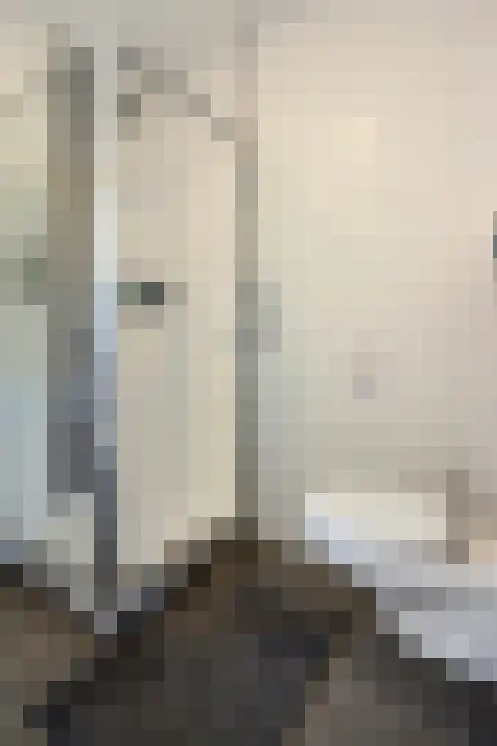 Dokter Diamantlaan 29 Hoek van Holland thumbnail 22