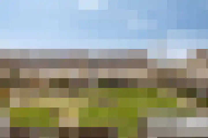 Dokter Diamantlaan 29 Hoek van Holland thumbnail 33