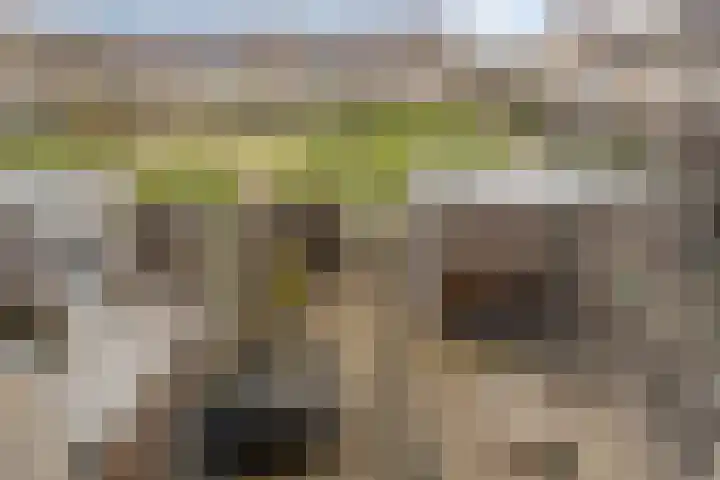 Dokter Diamantlaan 29 Hoek van Holland thumbnail 34