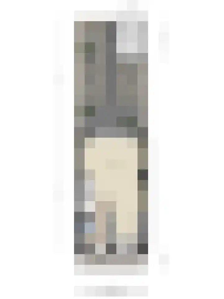 Dokter Diamantlaan 29 Hoek van Holland thumbnail 39
