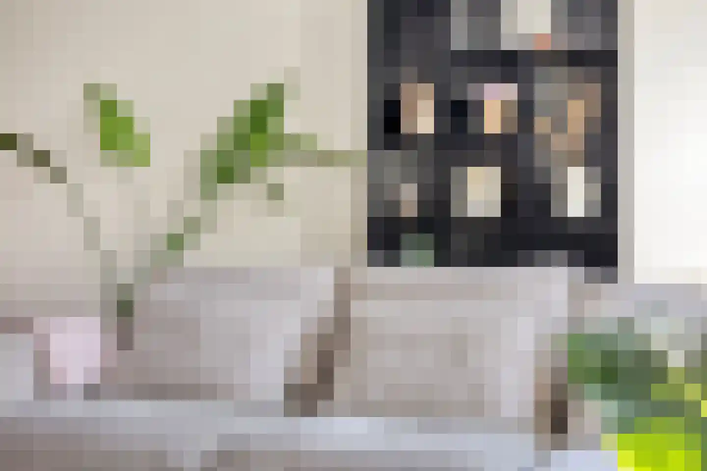 Dokter Diamantlaan 43 Hoek van Holland thumbnail 14