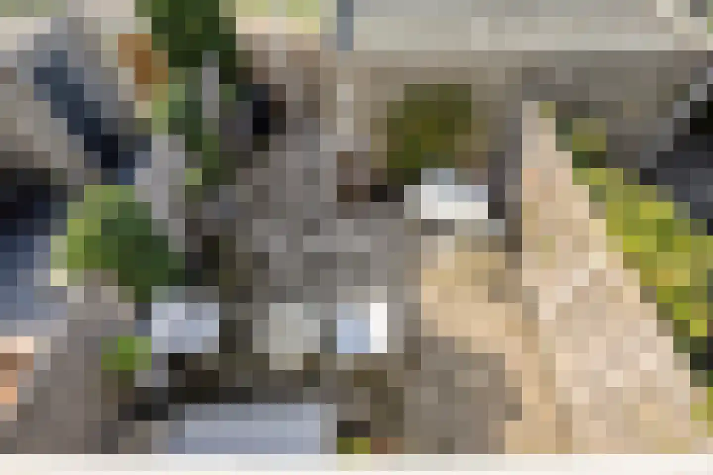 Dokter Diamantlaan 43 Hoek van Holland thumbnail 29
