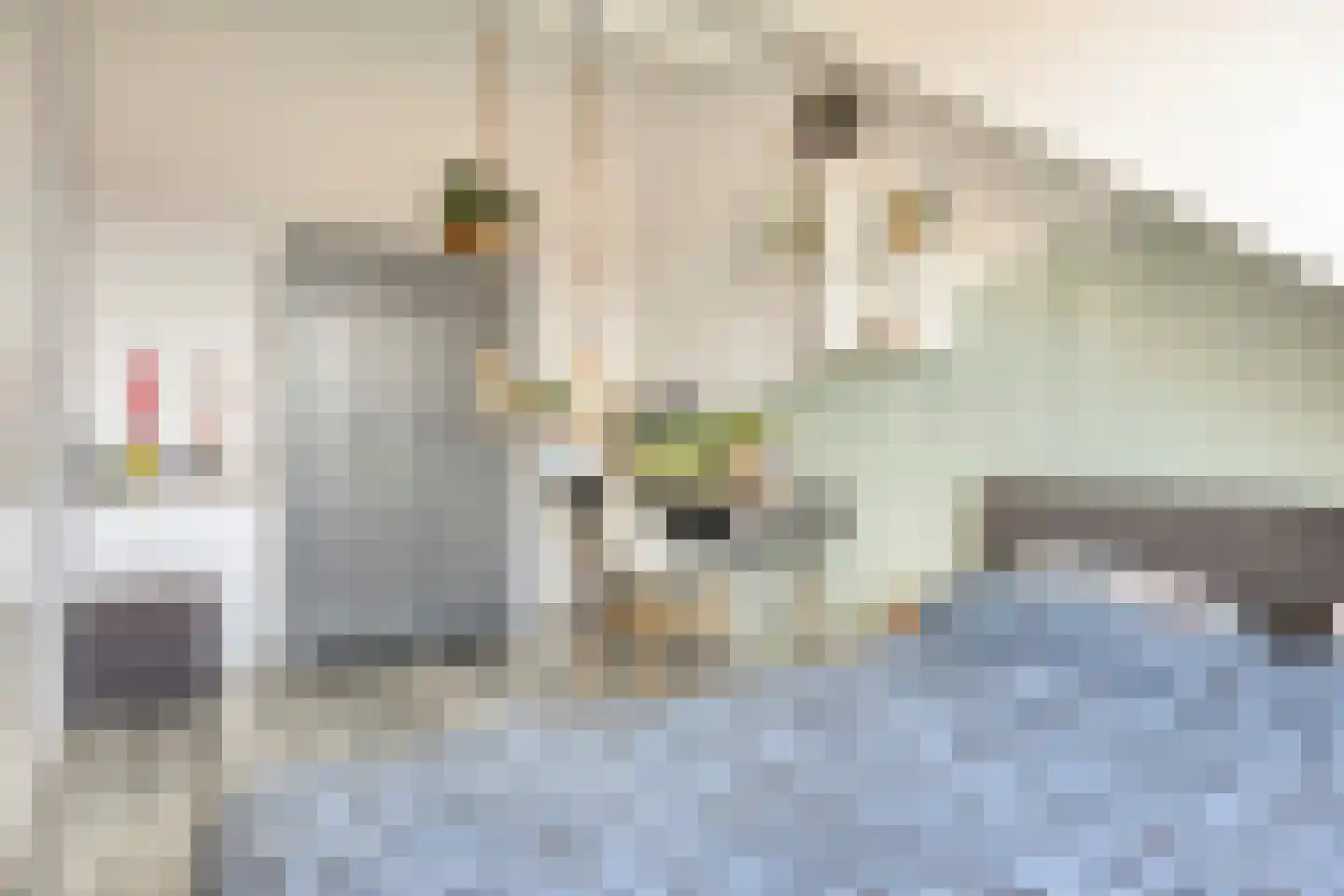 Dokter Diamantlaan 43 Hoek van Holland thumbnail 40