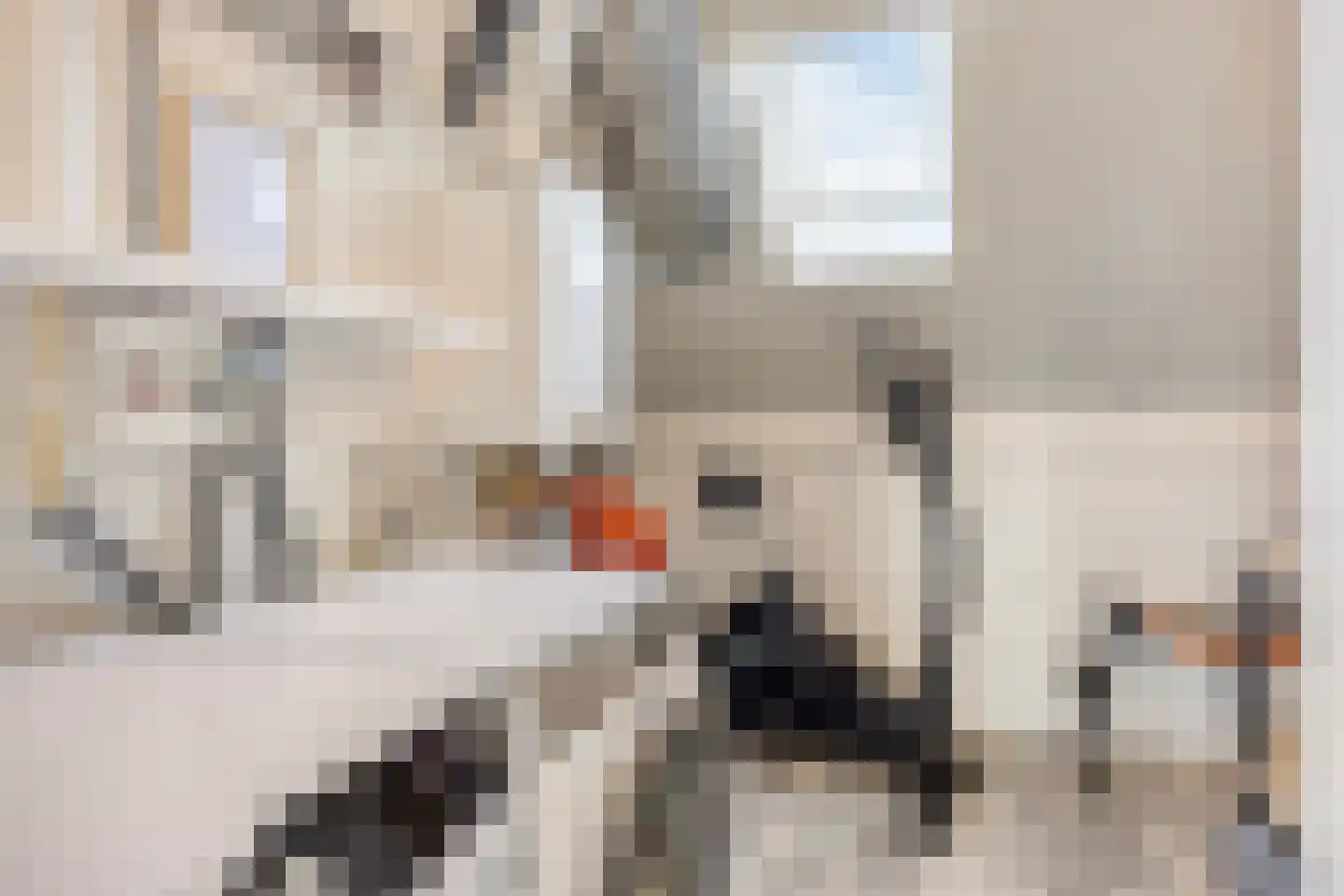 Dokter Diamantlaan 43 Hoek van Holland thumbnail 41