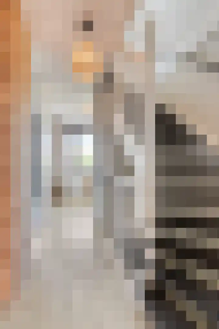 Dokter Diamantlaan 45 Hoek van Holland thumbnail 23