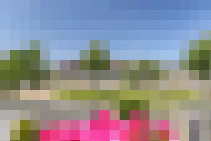 Dokter Diamantlaan 45 Hoek van Holland thumbnail 32