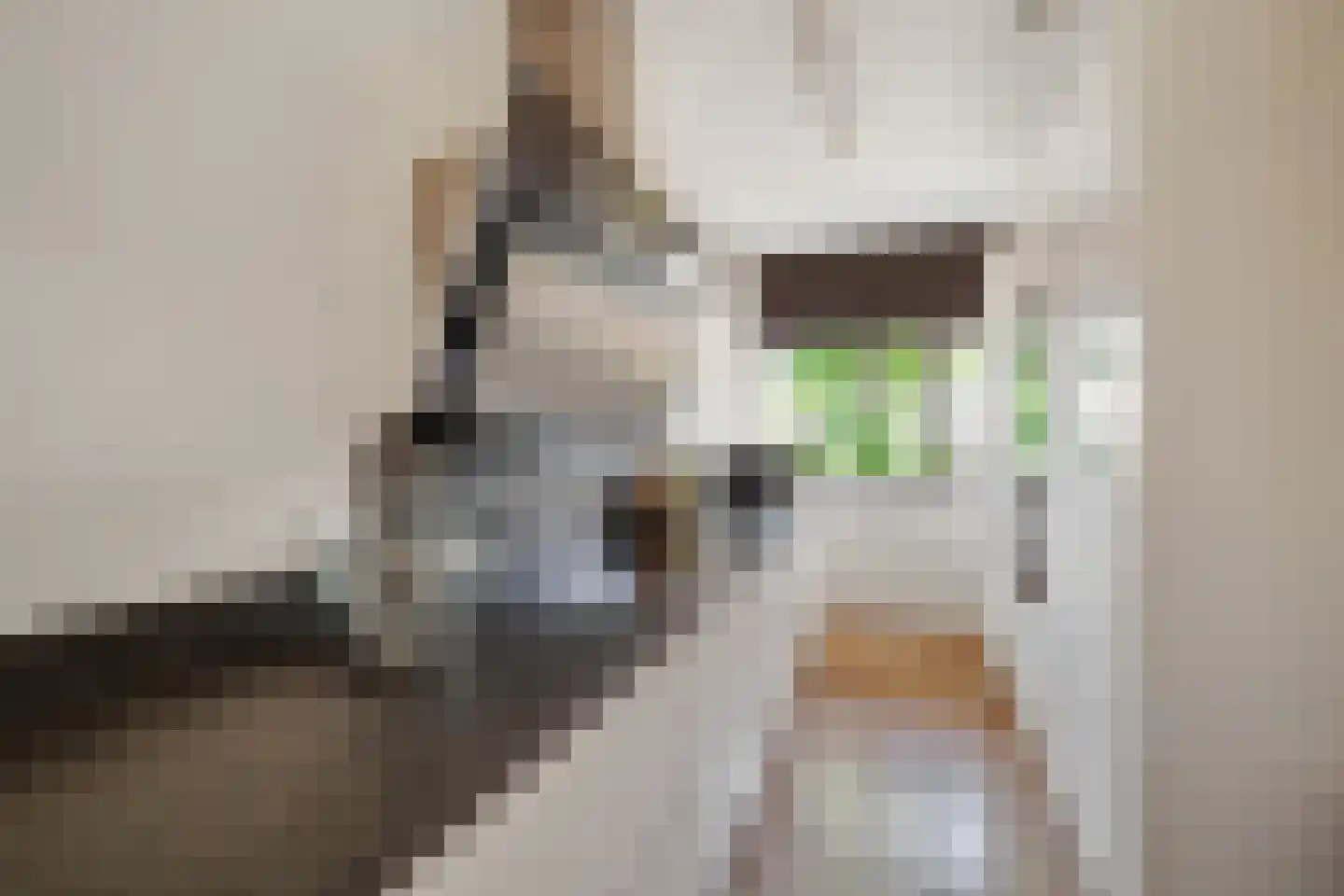 Dokter Diamantlaan 5 Hoek van Holland thumbnail 14