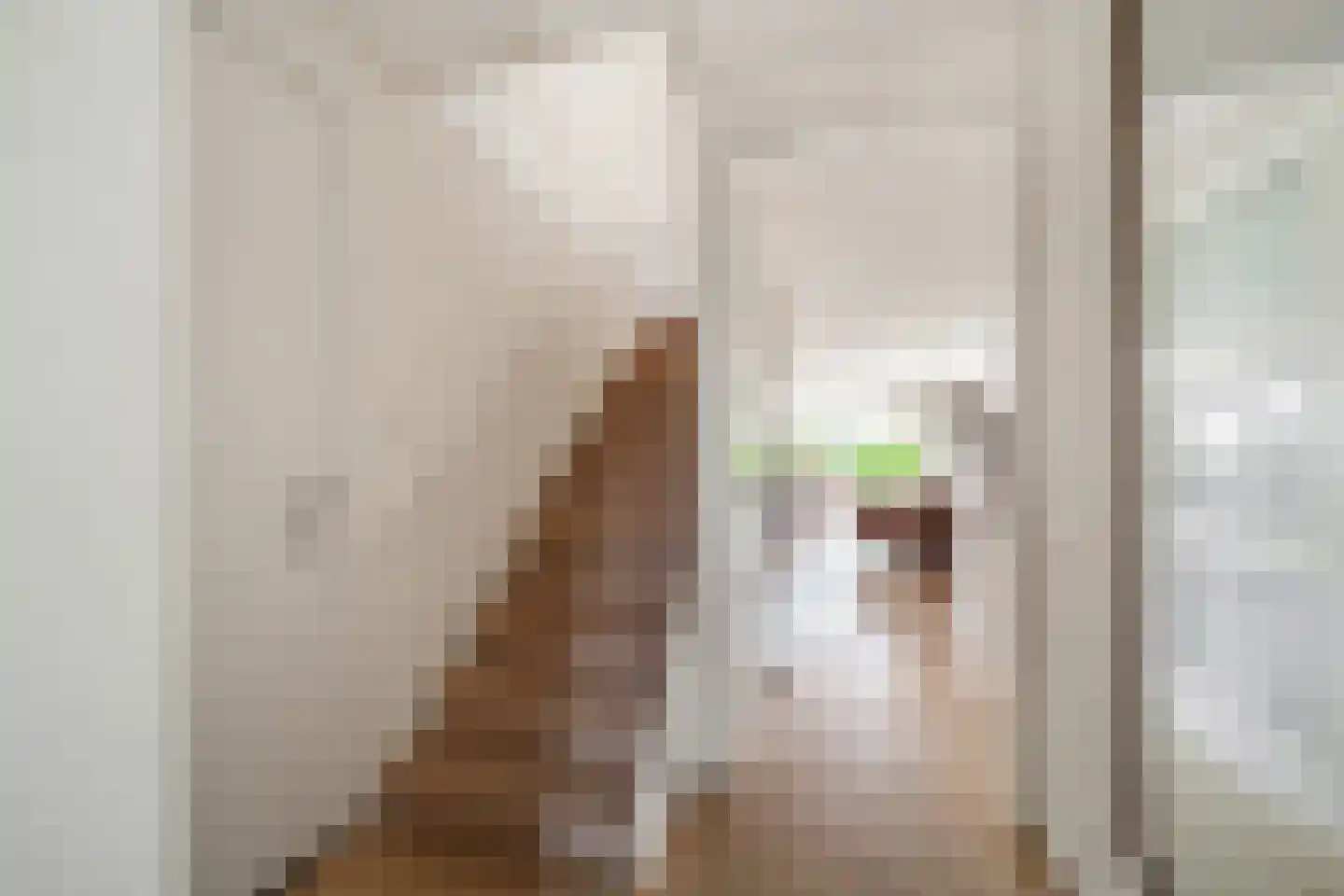 Dokter Diamantlaan 5 Hoek van Holland thumbnail 17