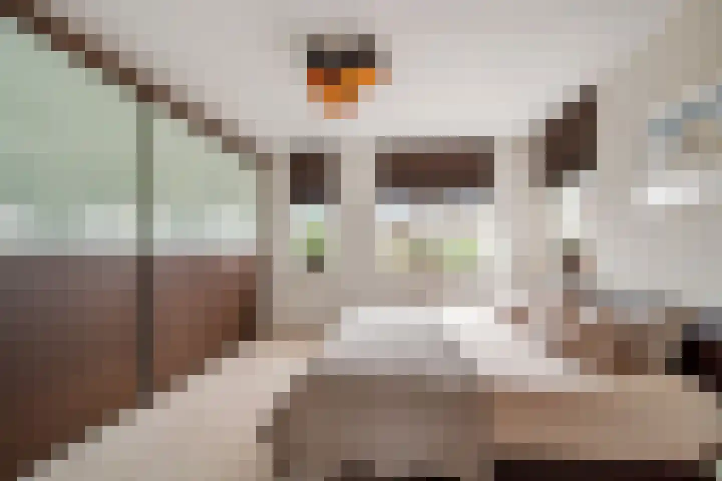 Dokter Diamantlaan 5 Hoek van Holland thumbnail 18