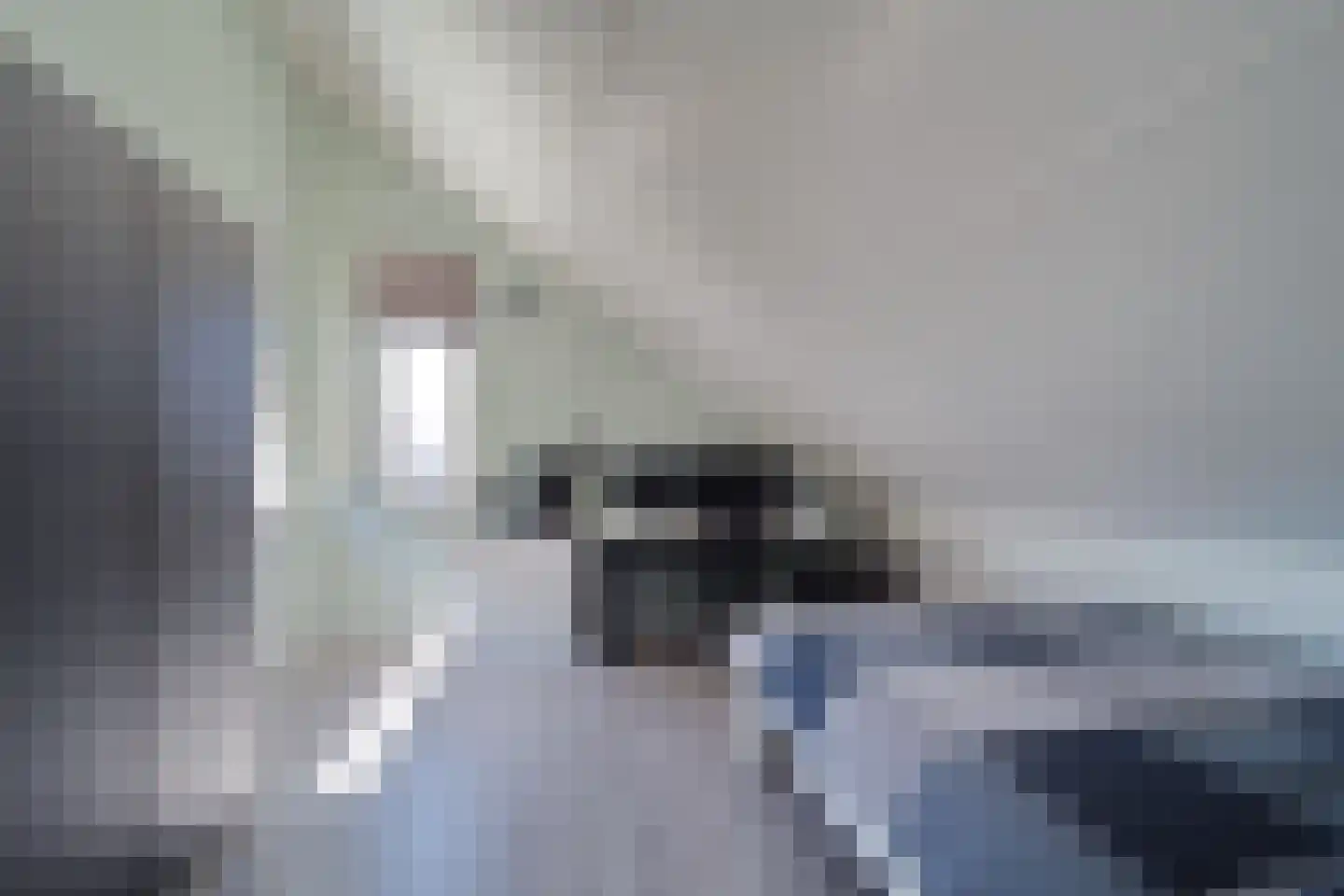 Dokter Diamantlaan 5 Hoek van Holland thumbnail 35