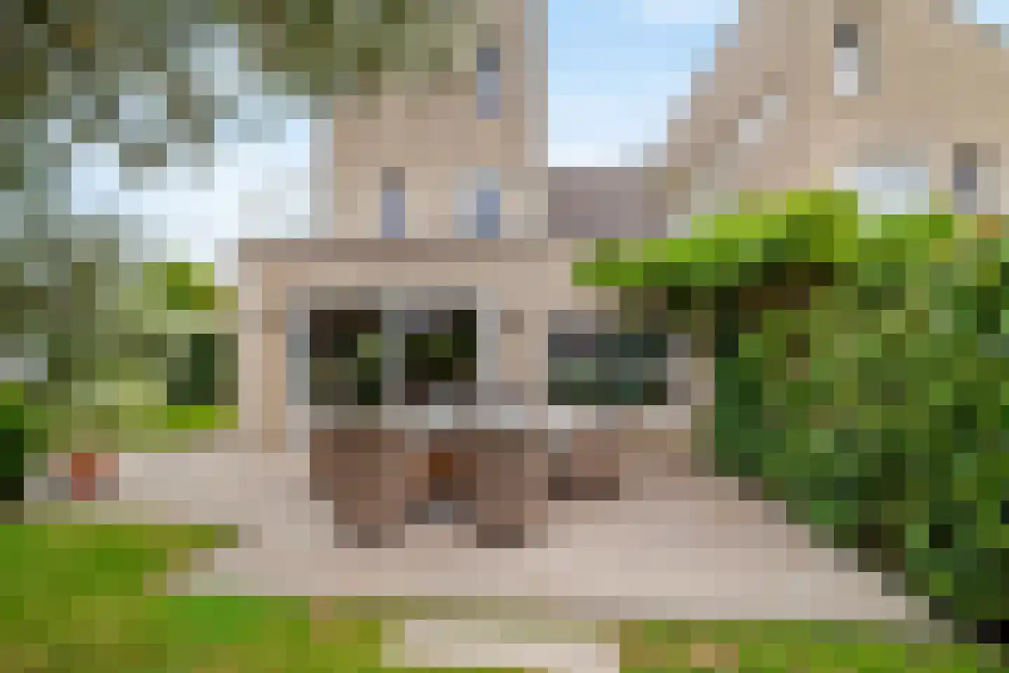 Dokter Diamantlaan 5 Hoek van Holland thumbnail 40