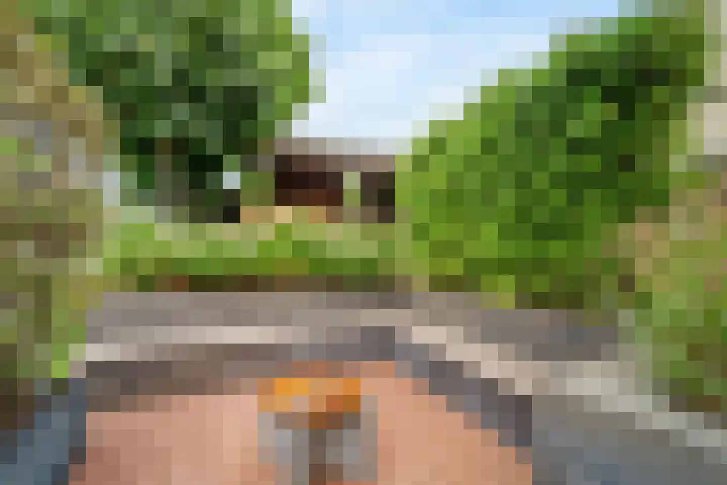 Dokter Diamantlaan 5 Hoek van Holland thumbnail 44