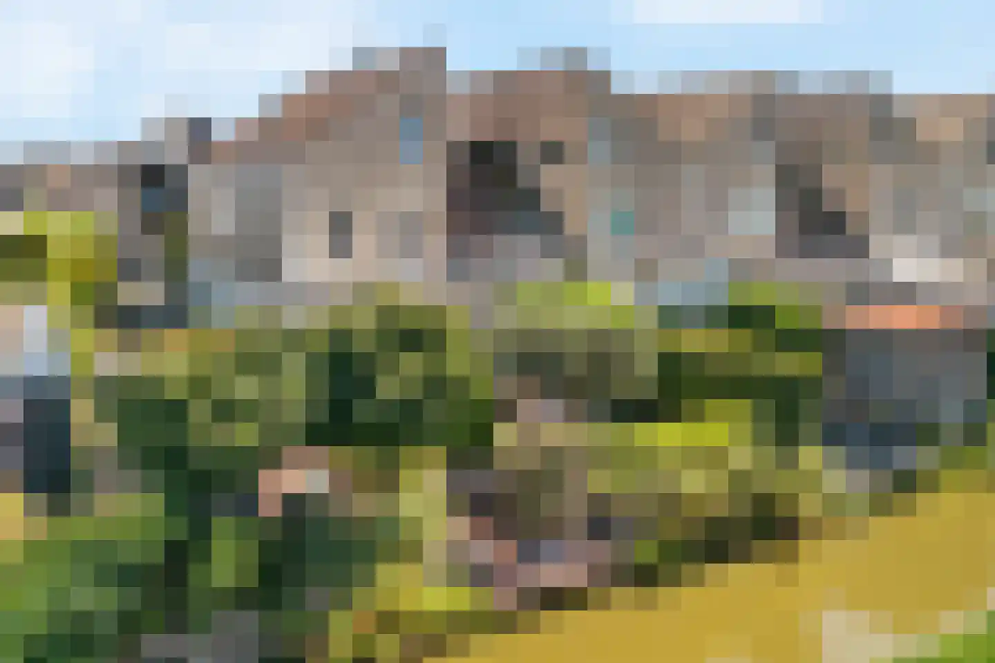 Dokter Diamantlaan 5 Hoek van Holland thumbnail 49