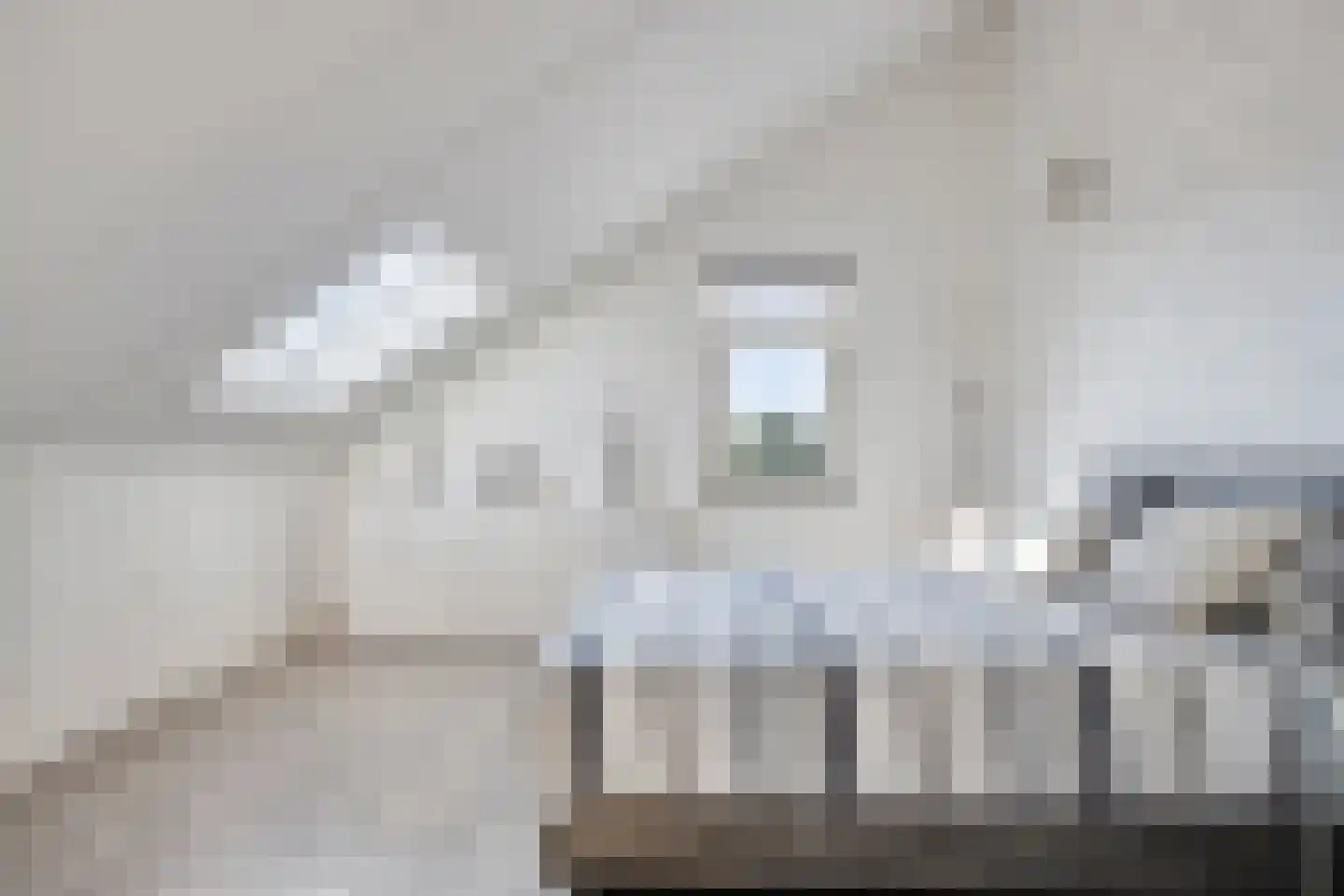 Dokter Diamantlaan 66 Hoek van Holland thumbnail 23