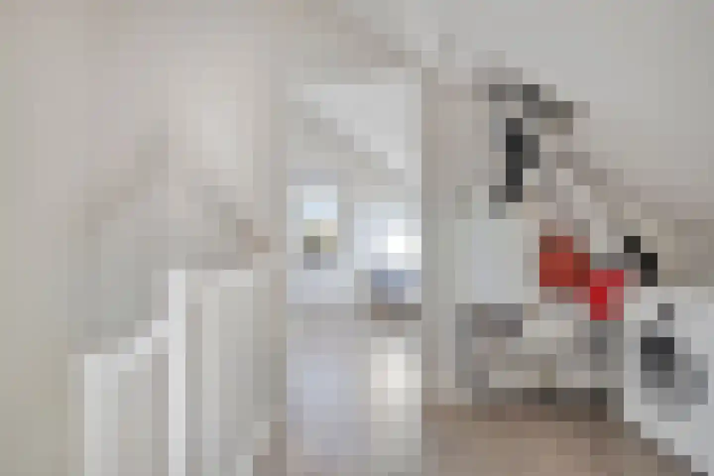 Dokter Diamantlaan 66 Hoek van Holland thumbnail 26