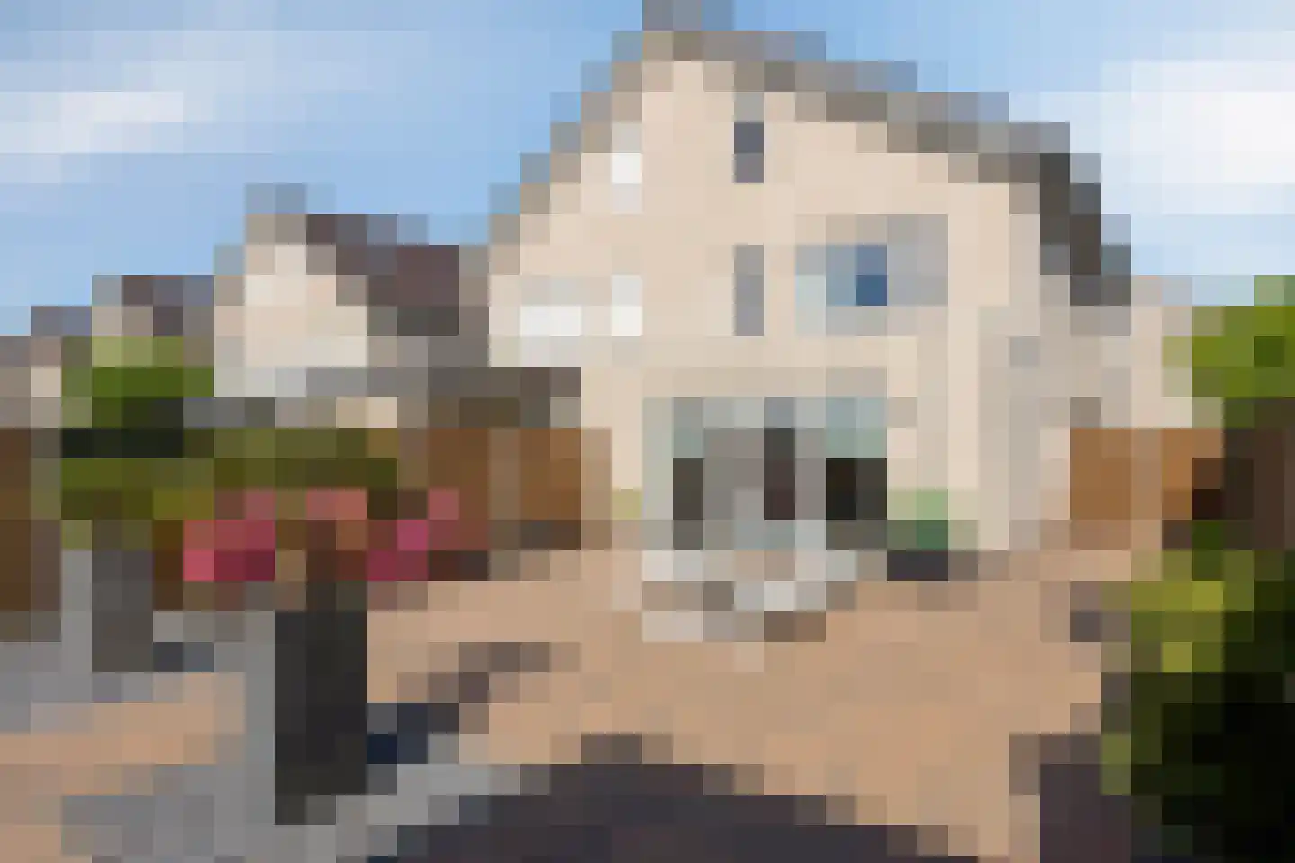 Dokter Diamantlaan 66 Hoek van Holland thumbnail 33