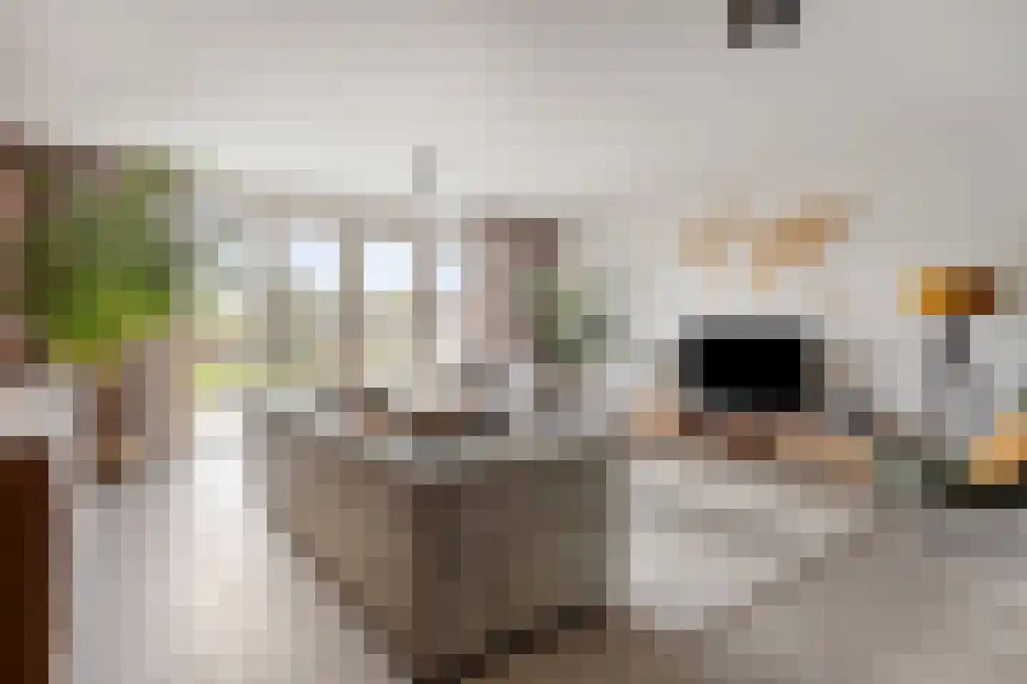 Dokter Diamantlaan 78 Hoek van Holland thumbnail 18