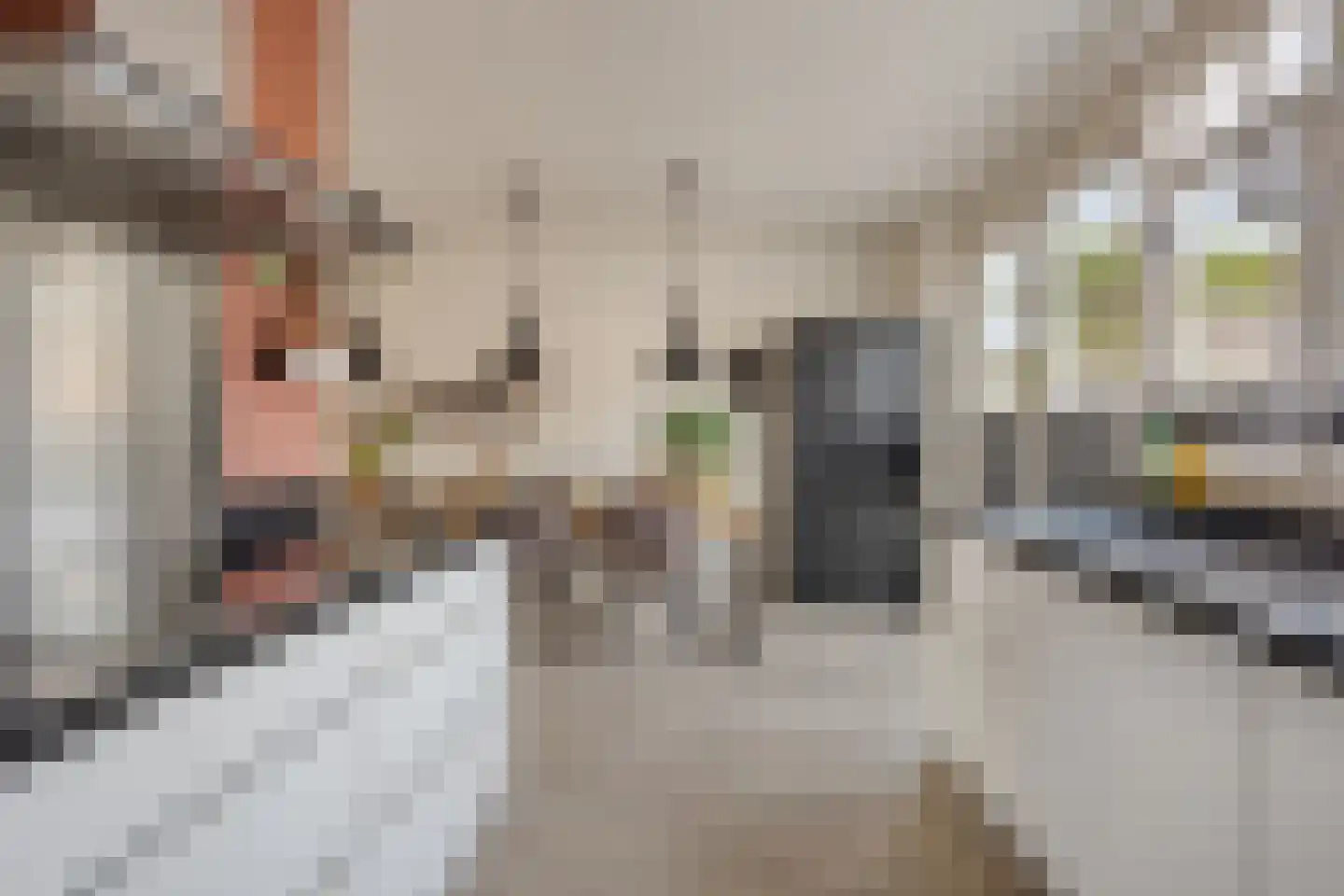 Dokter Diamantlaan 78 Hoek van Holland thumbnail 25