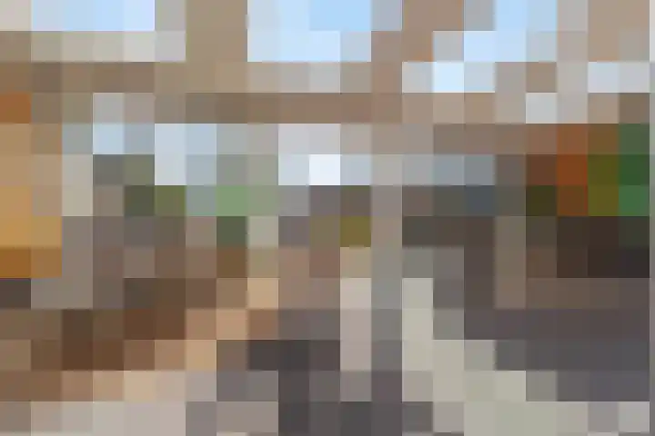 Dokter Diamantlaan 88 Hoek van Holland thumbnail 13