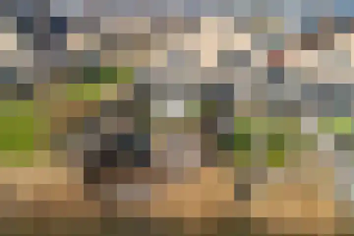 Dokter Diamantlaan 88 Hoek van Holland thumbnail 40