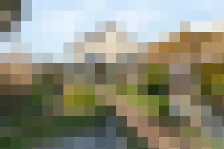 Dokter Diamantlaan 88 Hoek van Holland thumbnail 51