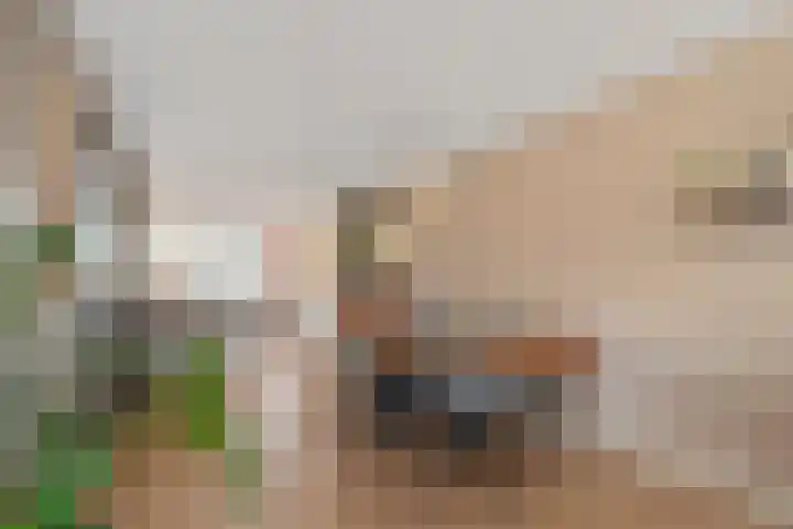 Dokter Diamantlaan 88 Hoek van Holland thumbnail 7