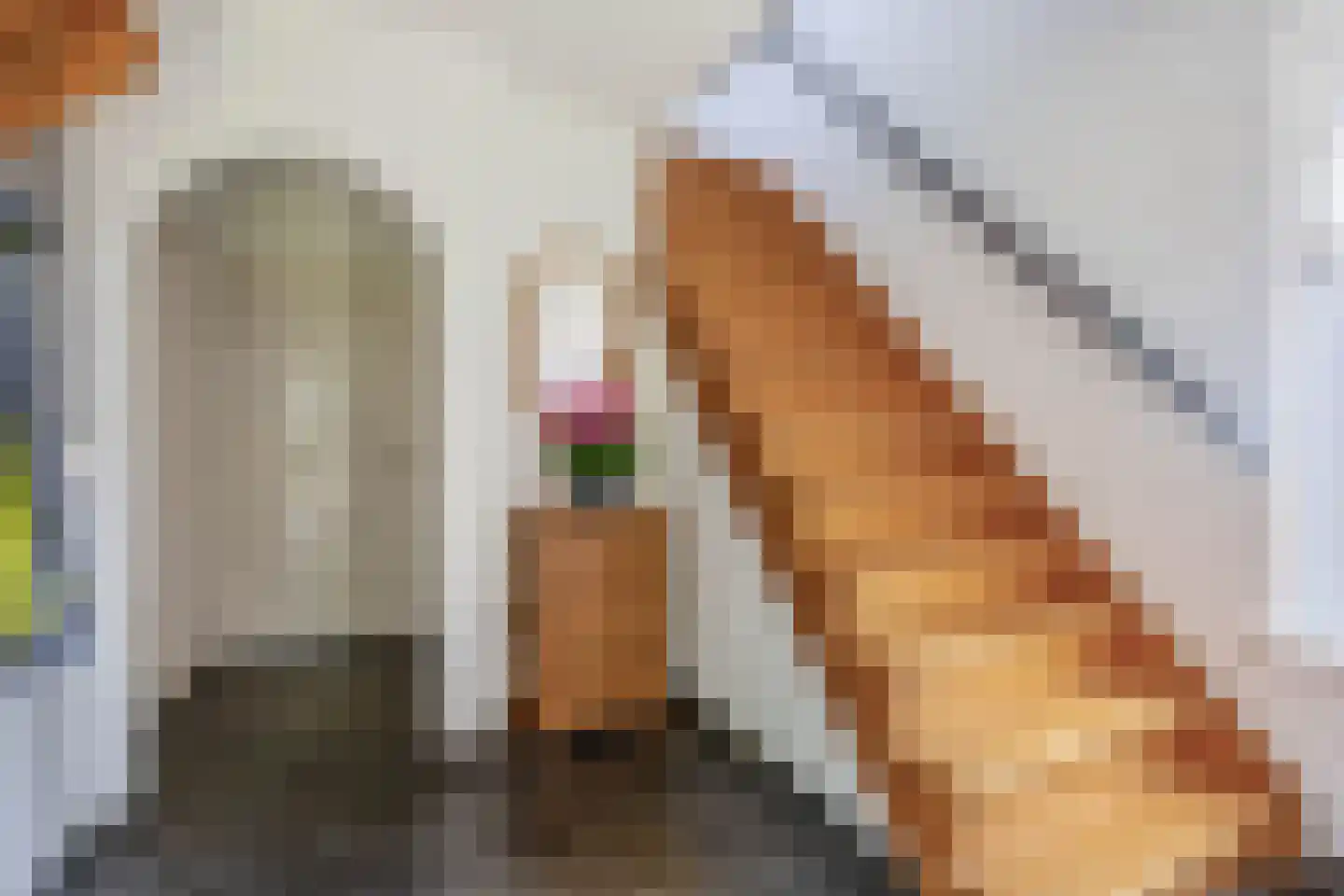 Dokter Duchateaustraat 25 Bergeijk thumbnail 11