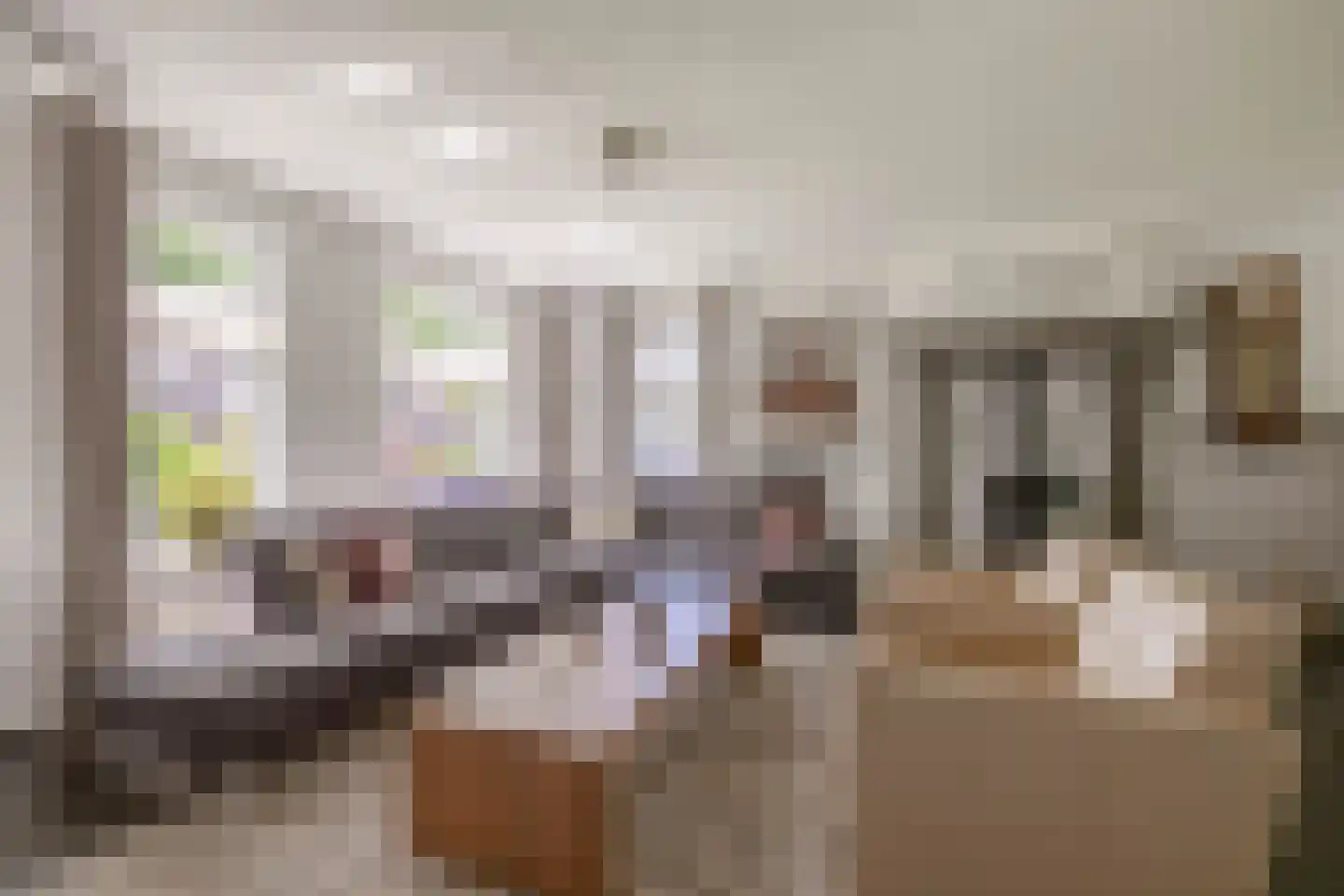 Dokter Duchateaustraat 25 Bergeijk thumbnail 12