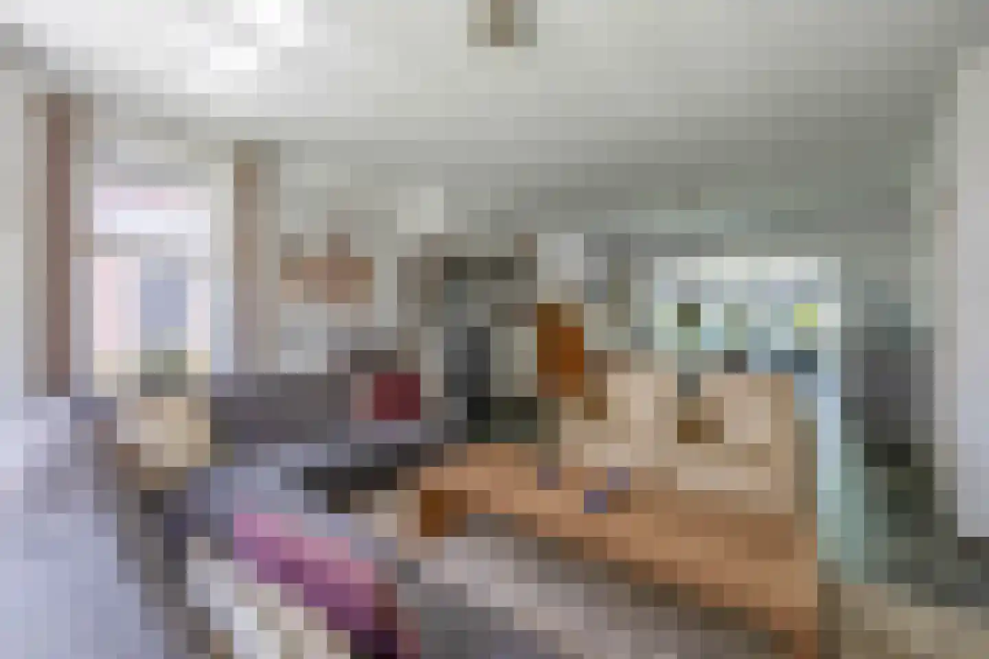 Dokter Duchateaustraat 25 Bergeijk thumbnail 13