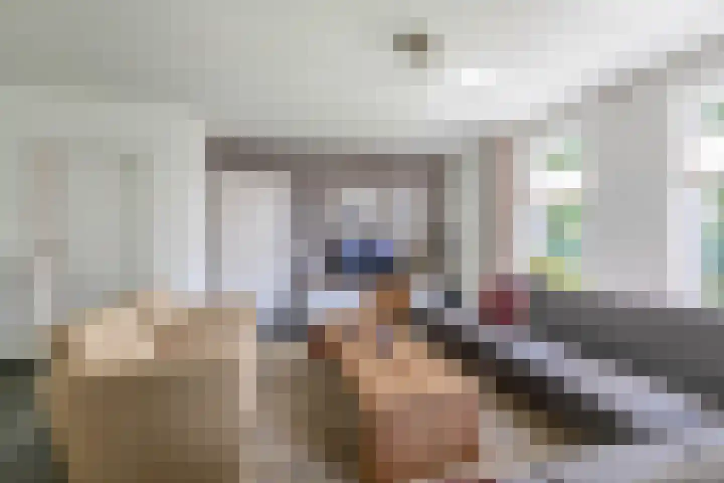Dokter Duchateaustraat 25 Bergeijk thumbnail 14