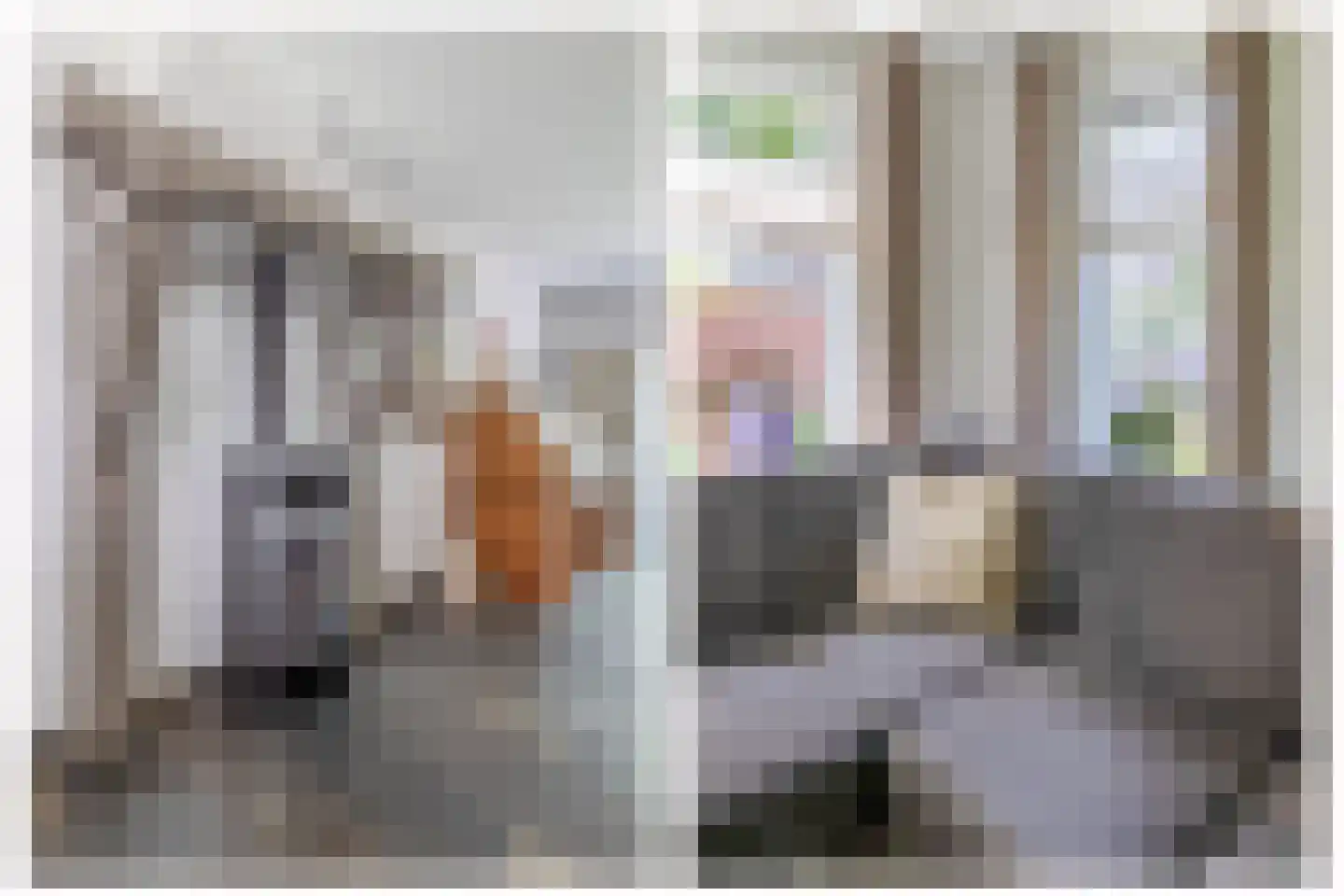 Dokter Duchateaustraat 25 Bergeijk thumbnail 15