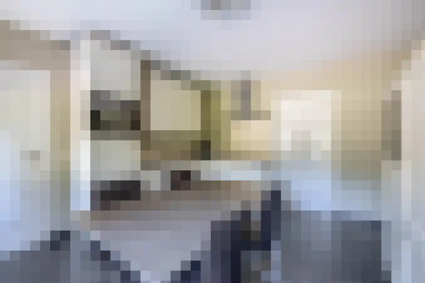 Dokter Duchateaustraat 25 Bergeijk thumbnail 20